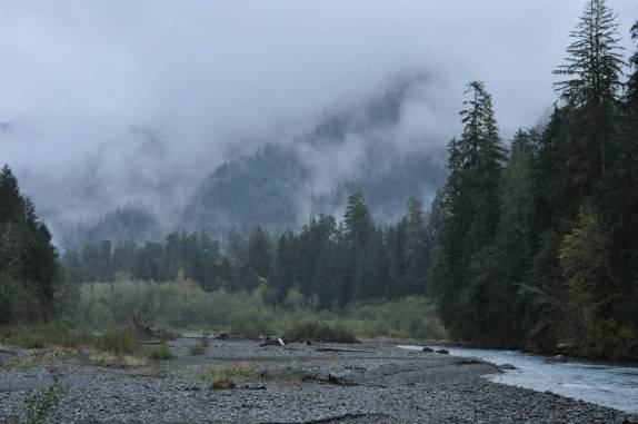 Chegando à floresta temperada úmida de Hoh, no Olympic National Park, no estado de Washington, oeste dos Estados Unidos
